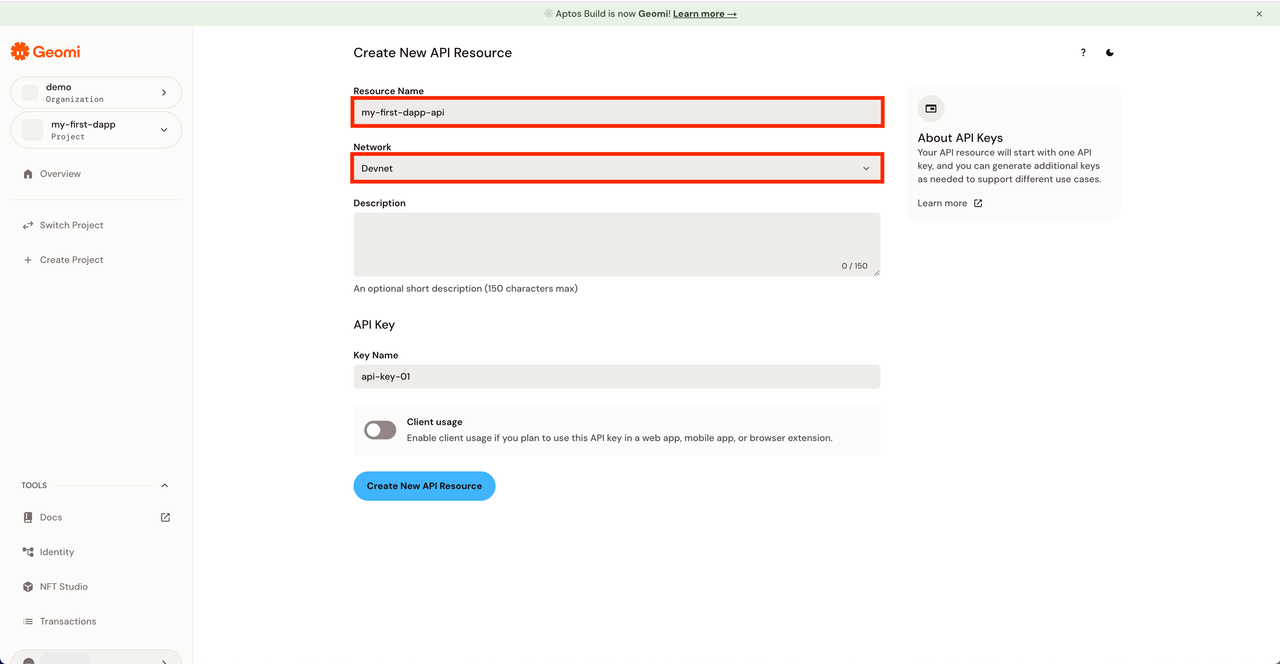 Geomi API key creation 4